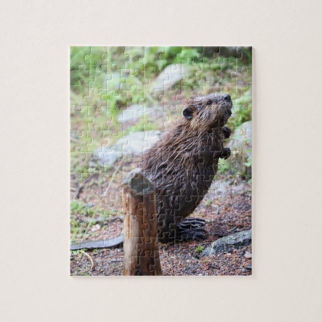 Beaver Jigsaw Puzzle (Vertical)