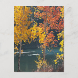 Beaver Lake (Mesa Lakes) in Autumn Postcard