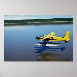 Beaver, landing on river poster
