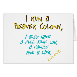 beaver leader turquoise