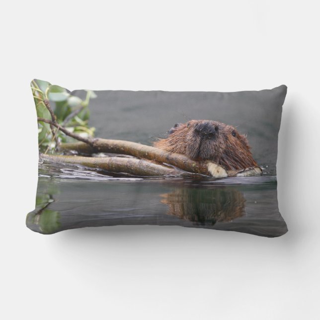 beaver lumbar cushion (Front)