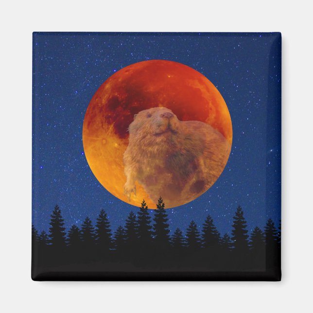 Beaver Moon in November Magnet (Front)