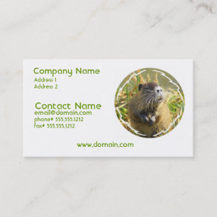 Beaver Photo Business Card