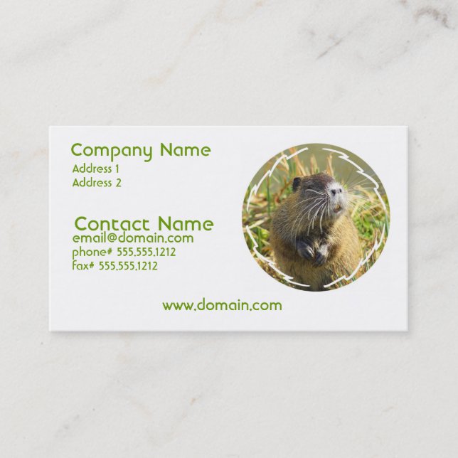 Beaver Photo Business Card (Front)