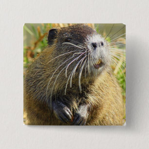 Beaver Photo Square Pin
