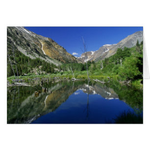 Beaver Pond, Lundy canyon