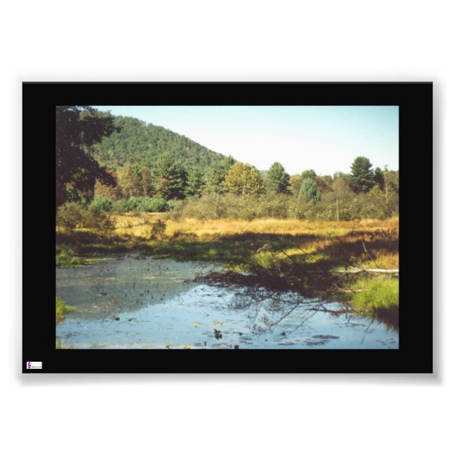 Beaver Pond Photo Print (Front)