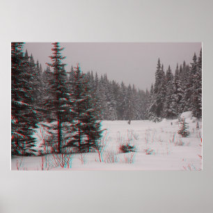 Beaver Ponds Poster