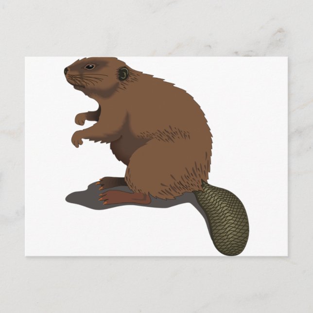 Beaver Postcard (Front)