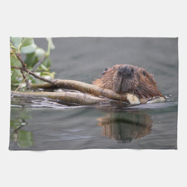 beaver tea towel (Horizontal)