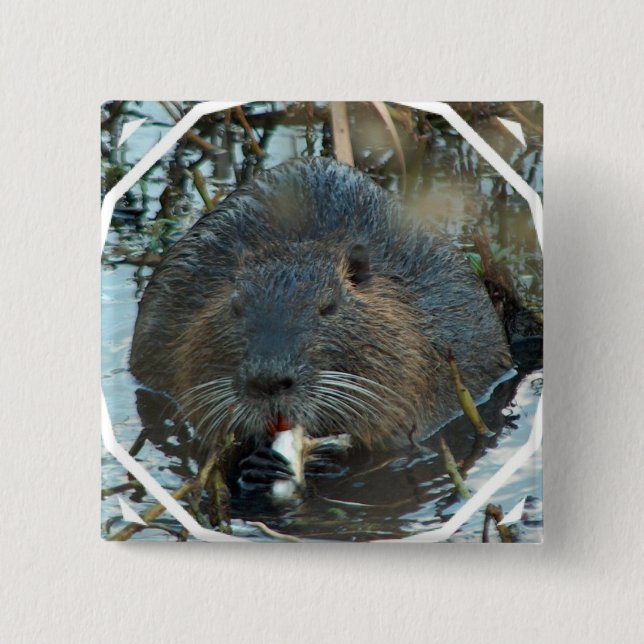 Beavers Habitat Square Pin (Front)