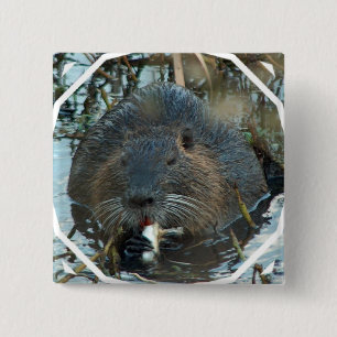 Beavers Habitat Square Pin