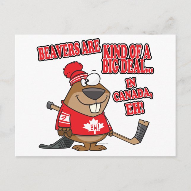 beavers kind of big deal in canada postcard (Front)