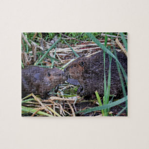 Beavers Kissing Photo Jigsaw Puzzle