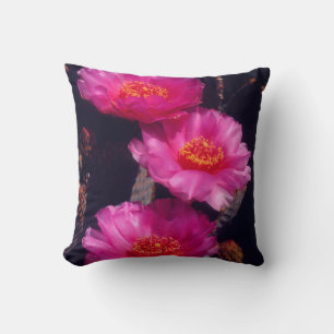 Beavertail Cactus Flowers 2 Cushion