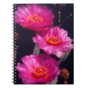 Beavertail Cactus Flowers 2 Notebook