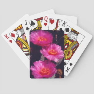 Beavertail Cactus Flowers 2 Playing Cards