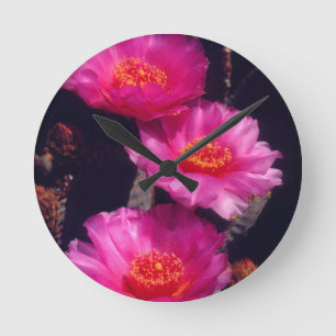 Beavertail Cactus Flowers 2 Round Clock