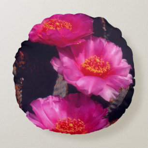 Beavertail Cactus Flowers 2 Round Cushion