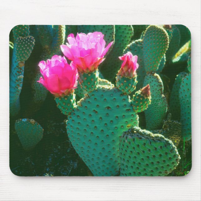 Beavertail Cactus Flowers Mouse Pad (Front)