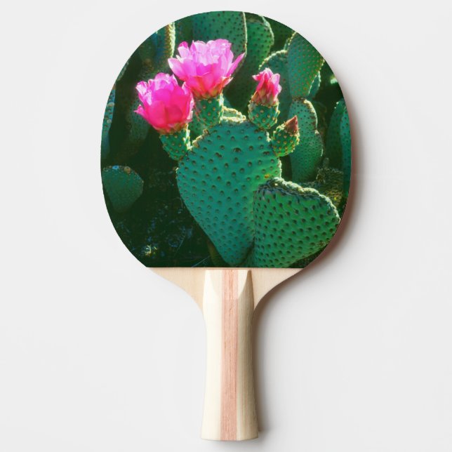 Beavertail Cactus Flowers Ping Pong Paddle (Front)