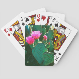 Beavertail Cactus Flowers Playing Cards