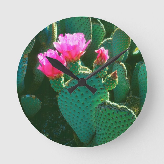 Beavertail Cactus Flowers Round Clock (Front)