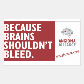 Because Brains Shouldn't Bleed Rectangular Sticker