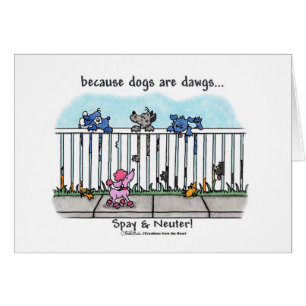 Because Dogs are Dawgs