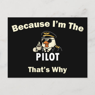  Because I’m The Pilot That’s Why  Custom Aviatio Postcard