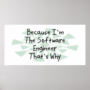 Because I'm the Software Engineer Poster