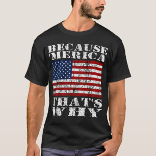Because 'MERICA Thats Why Distressed US Flag Shirt