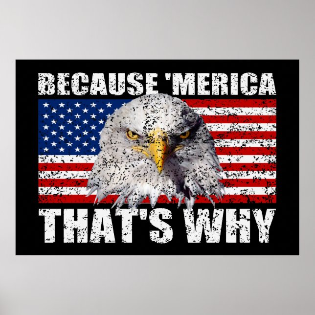 BECAUSE 'MERICA THAT'S WHY US Flag Poster (large) (Front)