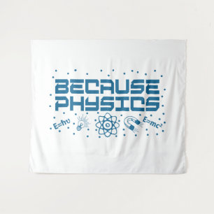 Because Physics Funny Tapestry