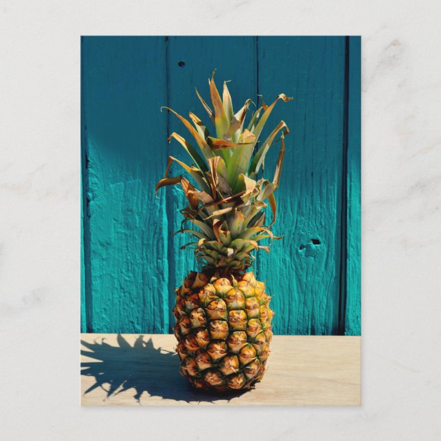 Because Pineapple Postcard (Front)