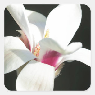 Becoming Square Sticker