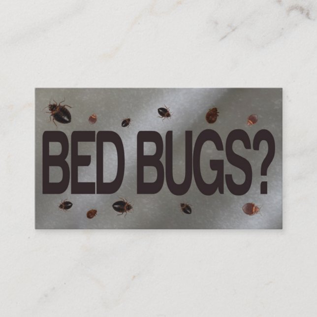 Bed Bug Removal Business Card (Front)
