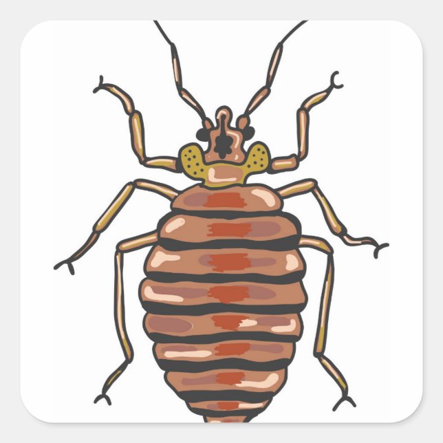 Bed Bug Sketch Square Sticker (Front)