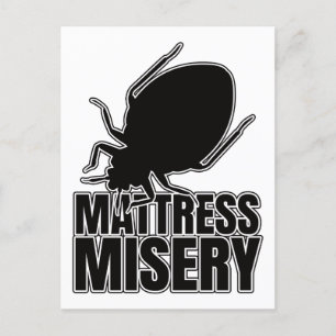Bed Bugs Bed Bug Bedbugs – Entomology Geek Postcard