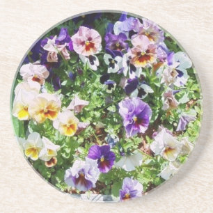 Bed of Pansies Coasters