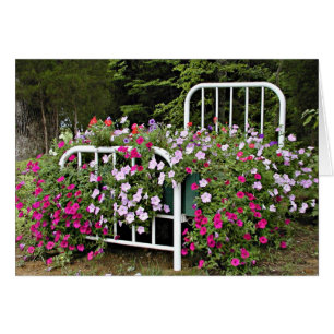 Bed of petunias