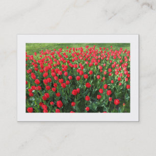 Bed of Red Tulips 01 (Bordered) Business Card