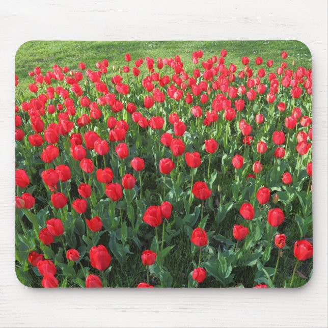 Bed of Red Tulips 01 Mouse Pad (Front)