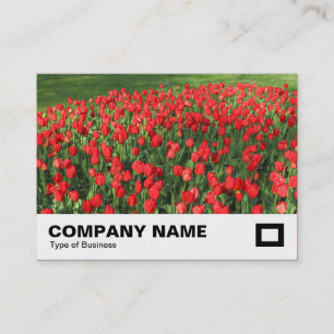 Bed of Red Tulips 02 Business Card