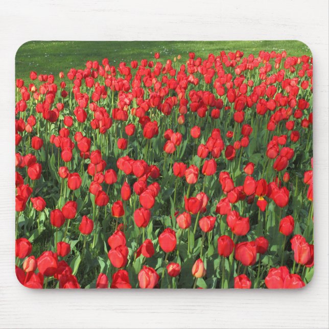 Bed of Red Tulips 02 Mouse Pad (Front)