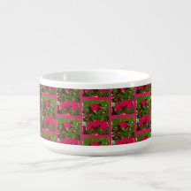 Bed of Roses Chili Bowl