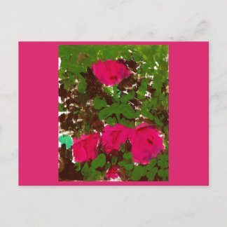 Bed of Roses  Postcard