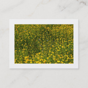 Bed of Yellow Daisies (Bordered) Business Card