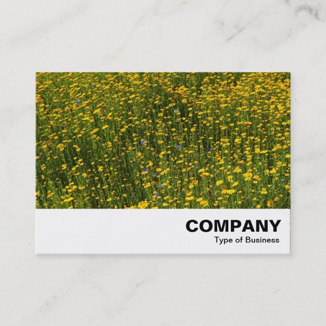 Bed of Yellow Daisies Business Card (Front)