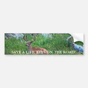 Bedded Buck Bumper Sticker